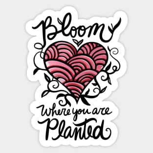 Bloom where you are planted Sticker